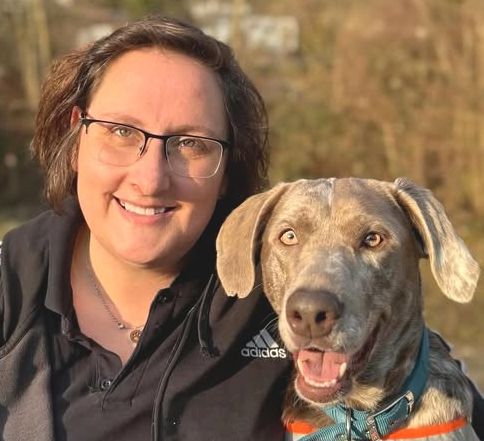 PetStyle Hundeschule | Startseite PetStyle Hundeschule | Startseite