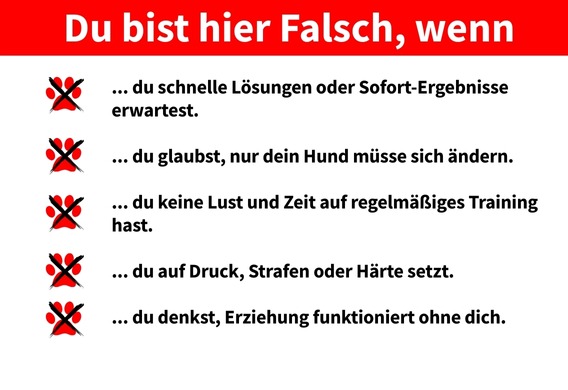 PetStyle Hundeschule | Startseite PetStyle Hundeschule | Startseite