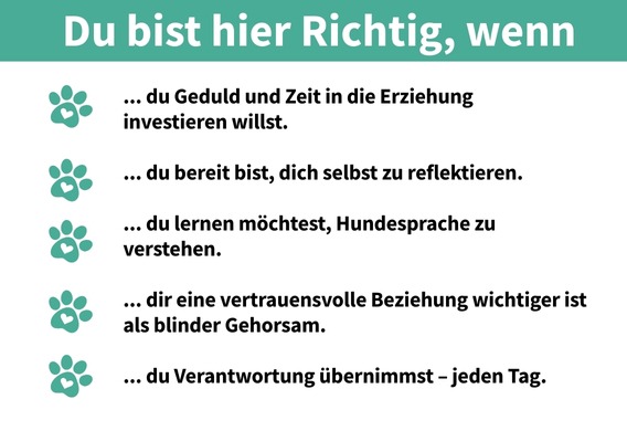 PetStyle Hundeschule | Startseite PetStyle Hundeschule | Startseite